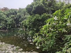 -成都市活水公园