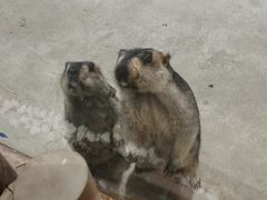 -北戴河圣蓝海洋公园