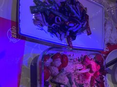 -胡桃里乐队酒馆(昙华林店)