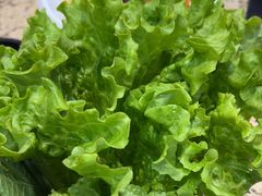 -真利味·脊骨火锅·正宗韩国料理(韩乐坊店)