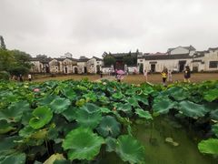 -清漾毛氏文化村
