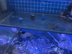 -面道赞宁海海鲜面(迎凤街店)