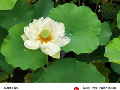 -黄兴公园