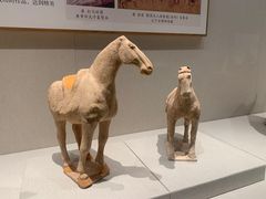 -深圳博物馆(古代艺术馆)