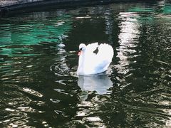 -昆明动物园