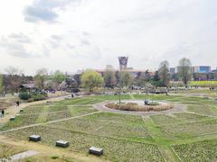 -国际非物质文化遗产博览园