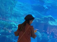 -迪拜水族馆及水下动物园