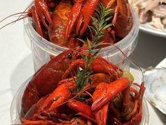-杨氏青龙虾·羊蝎子(托乐嘉店)