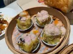 -点都德·毕德寮