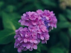 -香山公园