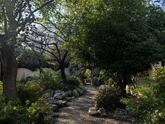 -巡塘古镇