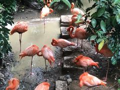 -长鹿旅游休博园