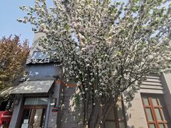 -龙湖星悦荟(颐和店)