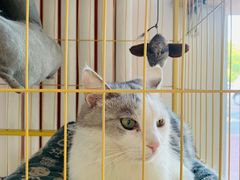 -青春加萌照相馆