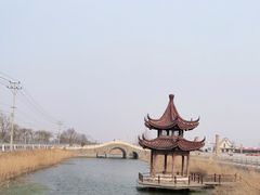 -南开大学滨海学院