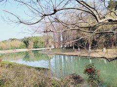 -东方绿舟景区