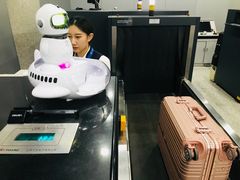 -威海大水泊国际机场