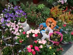 -青岛东方影都融创水世界