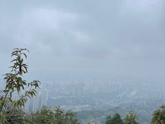 -南山植物园