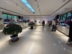 -汇龙潭