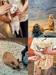 -Zoolung Zoolung动物主题公园(海信广场店)