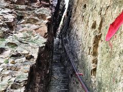 -天女山森林公园