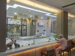-宝生月子中心(独栋园林·福田店)