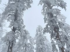 -瓦屋山景区