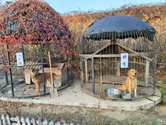 -大连罗马假日酒店温泉