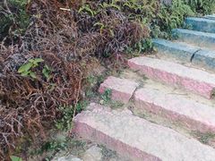 -大姆山草场