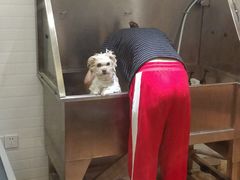 -Pets First伊珊娜洗护·精致美容·家庭式寄养(新会路店)
