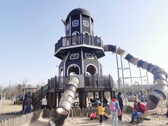 -上海长兴岛郊野公园