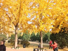 -辽宁大学(崇山校区)