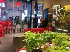 -杏花村水席楼·洛阳水席(老城十字街店)