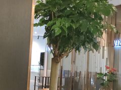 -珍之宝御品·寻味顺德(容桂渔人码头店)