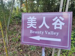 -美人谷景区