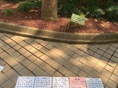 -人民公园-相亲角