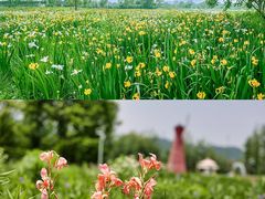 -下渚湖·湿地公园