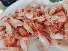 -八仔大富楼·河鲜(西江店)