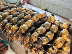 -南沙十九涌渔人码头-南门