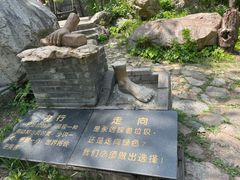 -京东石林峡风景区
