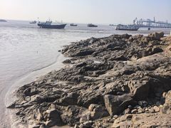 -平湖九龙山旅游度假区