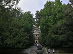 -灵谷景区