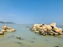 -澳门环岛游湾仔码头