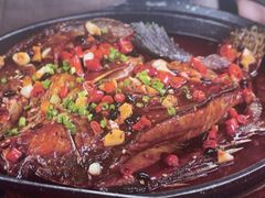 -洞庭家宴·头牌甲鱼(广渠门店)
