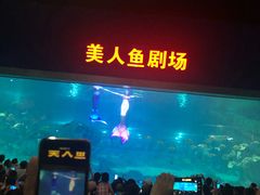 -福州罗源湾海洋世界旅游区