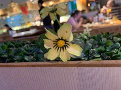 -佰烧海鲜烤肉火锅自助(熙地港店)