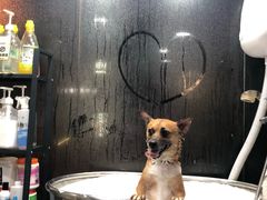 -PETKIT小佩宠物(昭化店)