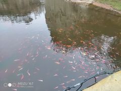 -宝盖山风景区-停车场