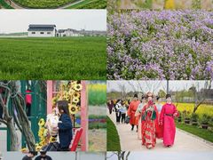 -杭州湾海上花田景区